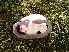 SNAKE C FLINT & STEEL STRIKER FIRE STARTER 