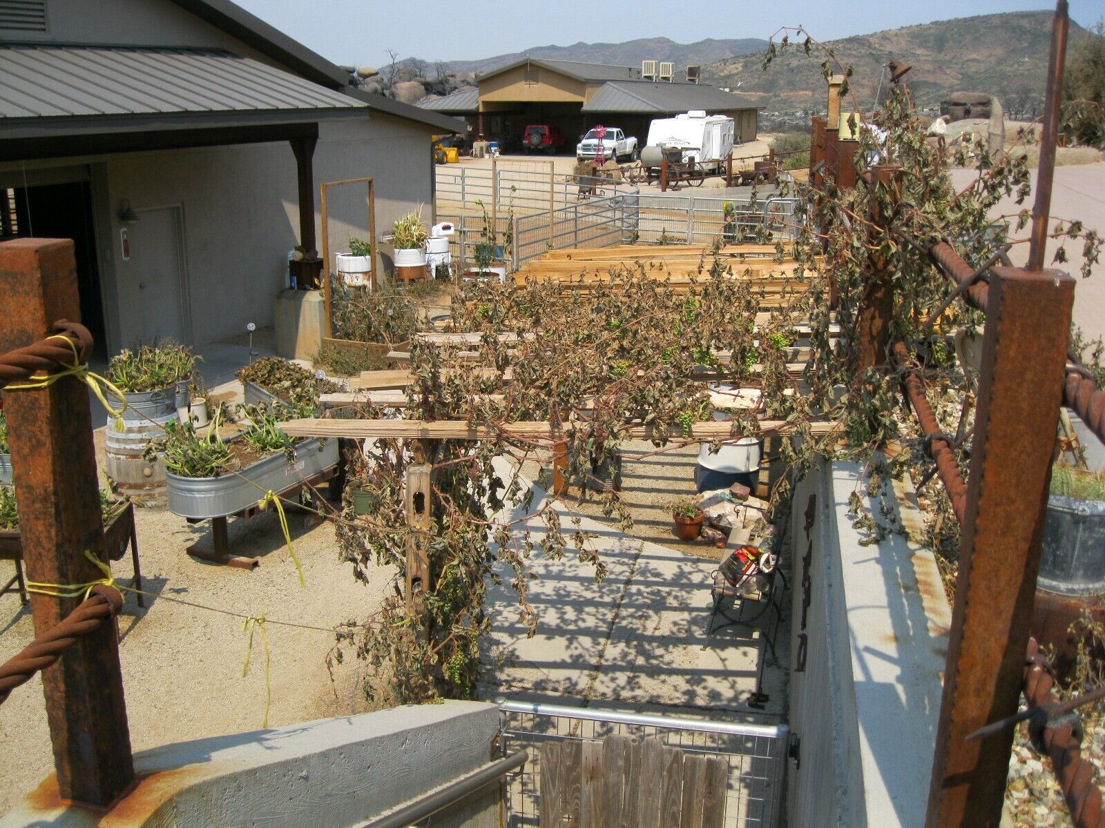 Picture 4 of 12