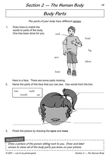 Year 1 Science Workbooks for 2026 - Books Bundle - Ages 5-6 - with Answers - NEW - Picture 3 of 12