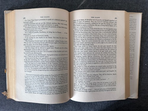 Vintage 1961 The Agony and The Ecstasy Irving Stone 1961 Hardcover HC/DJ - Imagen 10 de 11