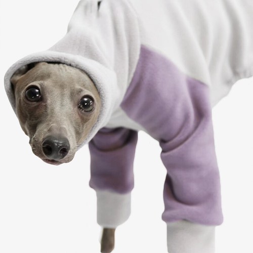 Velvet Dog Pet Four Legged Coat Jacket Hoodies Clothes for Greyhound Huibit Dogs - Picture 13 of 28