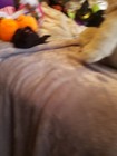 Bild 4 von 6