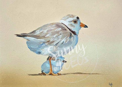 ACEO Plover Mom & Chick Bird shorebird Sandpiper print of original painting - Picture 3 of 15