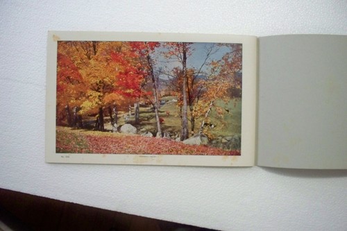Vtg. 1950's Stock Pictures for HOUR GLASS Line of System Calendars Paper Booklet - Picture 11 of 11