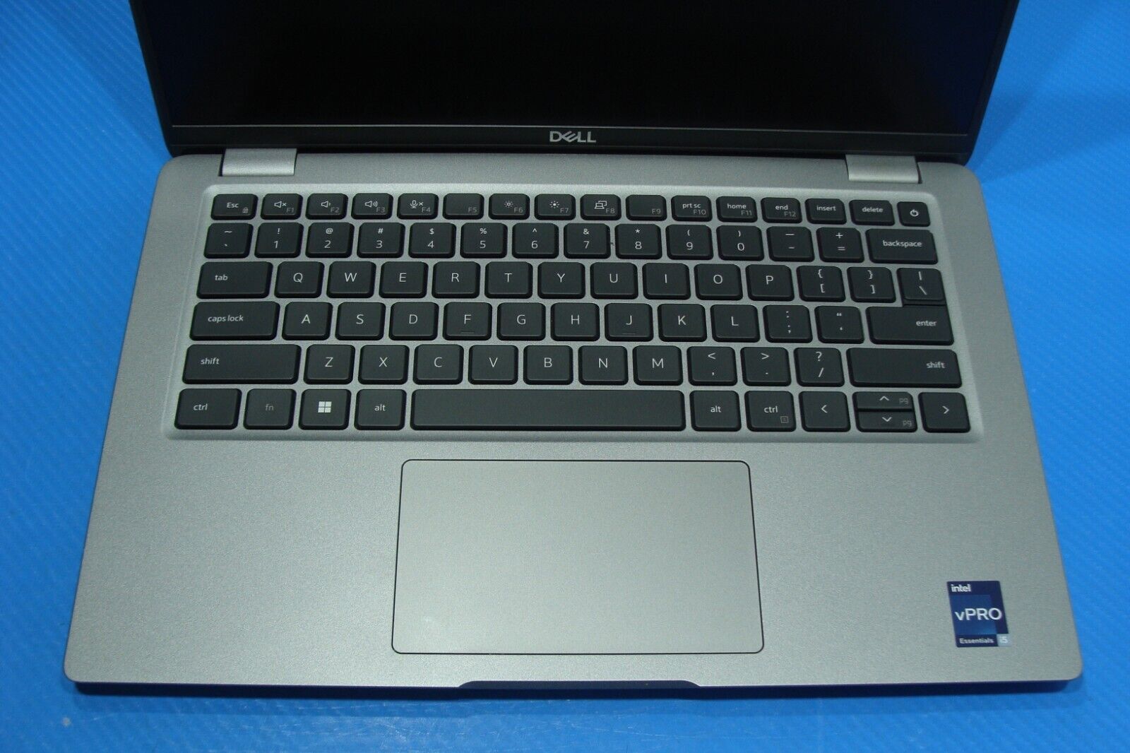 Foto 15 di 24