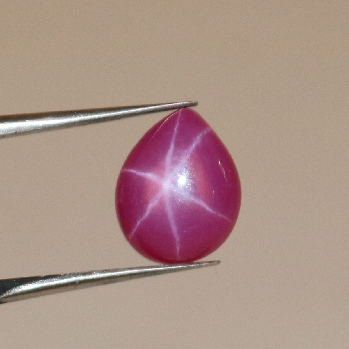 Certified Natural Red Star Ruby 225 Ct 6 Rays Pear Shape