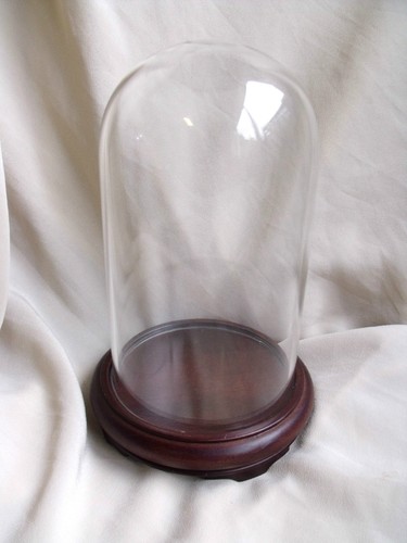 DISPLAY GLASS DOME WITH WOODEN STAND ORNAMENT / WATCH STAND / CLOCK / TAXIDERMY - Picture 2 of 2