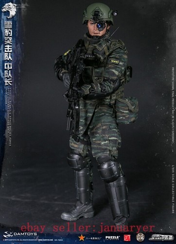 Perfect Damtoys 1/6 78053 Snow Leopard Commando Unit Team Leader Action Figure - Picture 6 of 12