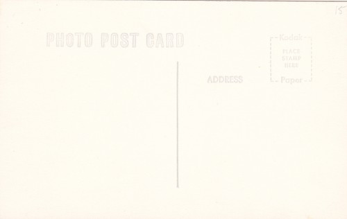 RRPC Postcard Hollow REDWOOD TREE Muir Woods Natl Monument CA man & child - Picture 2 of 2