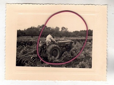 PHOTO FOTO TRAKTOR SCHLEPPER McCORMICK FARMALL