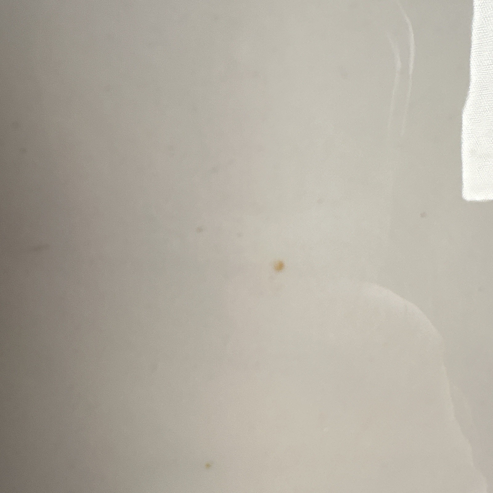 Picture 6 of 11
