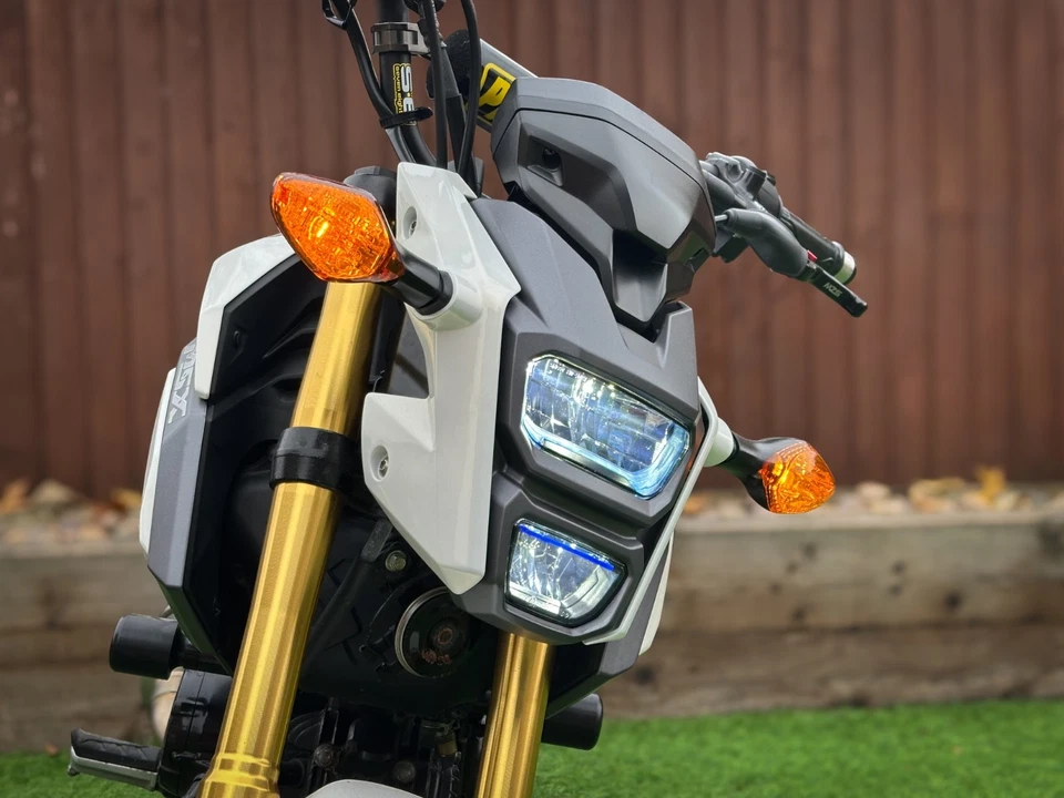 2016 Honda MSX125 Grom – LED Headlight – 3,075 Miles – Excellent Condition - Image 3 of 4