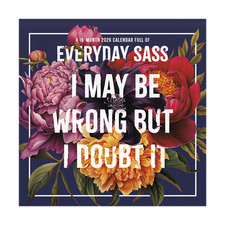 Trends International Everyday Sass 2026 12 x 12 Wall Calendar w