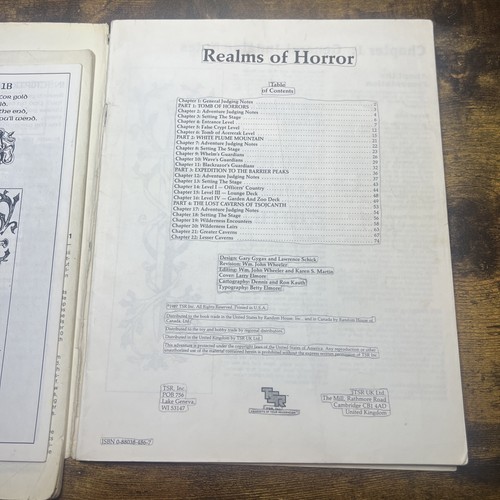 TSR AD&D 1. Edition Realms of Horror sehr guter Zustand + Dungeons & Dragons - Bild 5 von 7