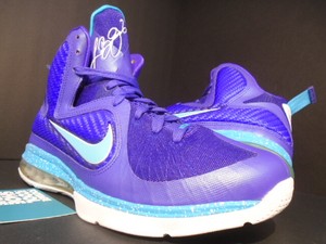 lebron 10 hornets