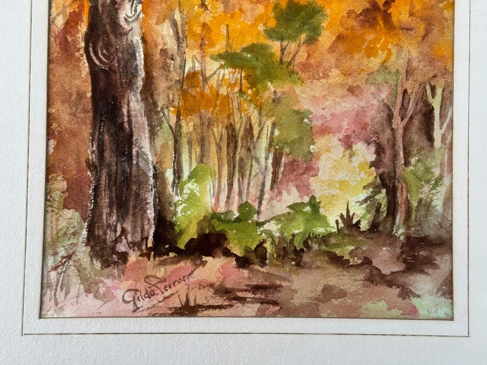 Picture 5 of 14