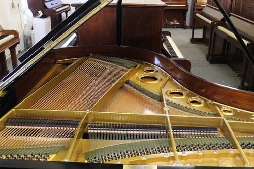!!! Bechstein Model M, Ebony Grand, Repolished, etc.... £14,400 !!! - Picture 17 of 24
