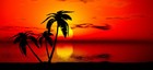 Bild 11 von 16