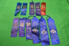 Lot of 11 Vintage Award Ribbons FFA 4H Some Dated 1950s