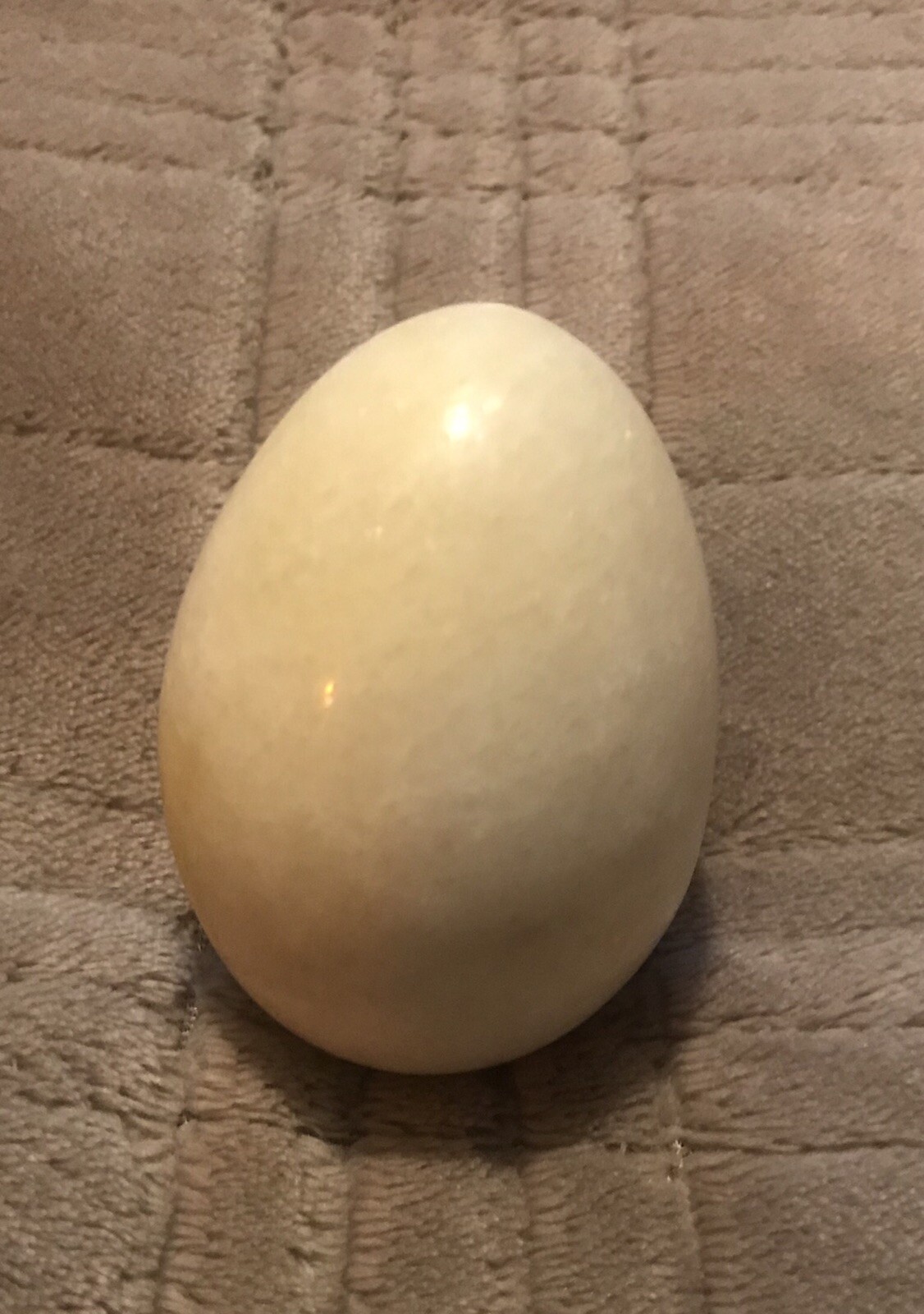 Picture 3 of 4