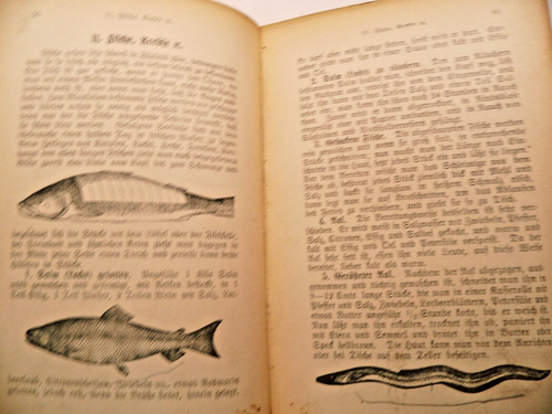 Neues und bewährtes "Illußtriertes Kochbuch" für alle Stände, um 1900 - Bild 15 von 24