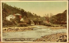 Irish Postcard AVOCA Meeting of Waters Thomas Moore's Tree Carbo JV35927 Ireland