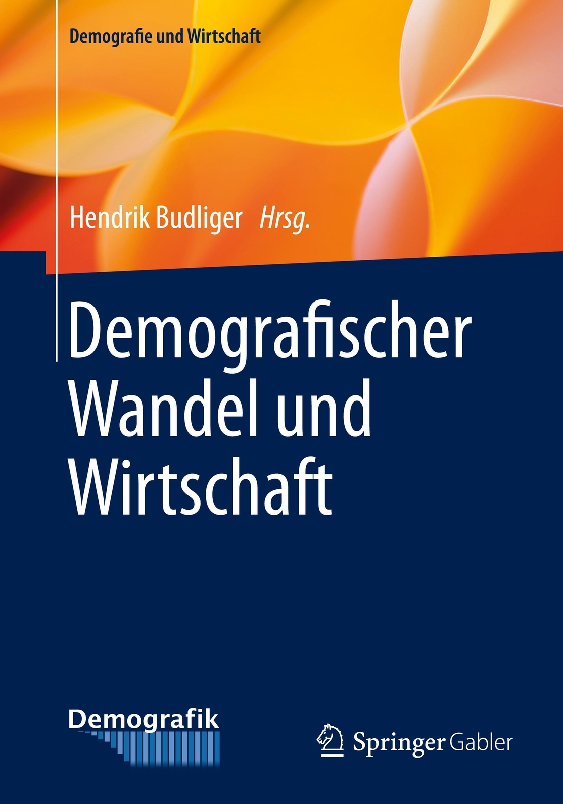 Thumbnail - Hendrik Budliger | Demografischer Wandel Und Wirtschaft | Taschenbuch