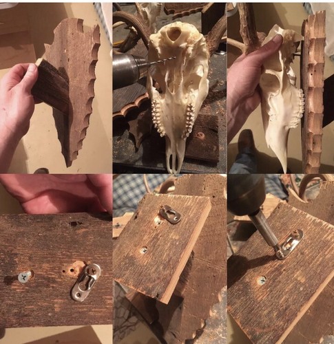 Shou Sugi Ban European Deer Skull Mount Plaque Pedestal Arrowhead w/hanger  - Picture 12 of 37