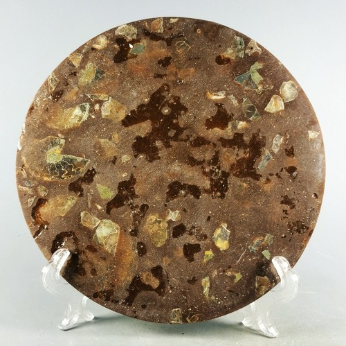 AMMONITE SHELL JURASSIC DISK HALF CUT w/Wenge Stand-Madagascar - Picture 10 of 10