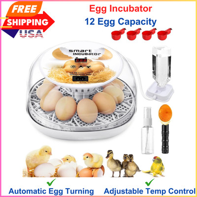 12 Egg Incubator with Automatic Egg Turning & Temperature Humidity Control Clear