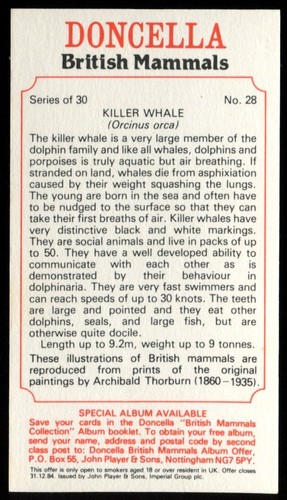Tobacco Card, Doncella, BRITISH MAMMALS, 1983, Killer Whale, #28 - Picture 2 of 2