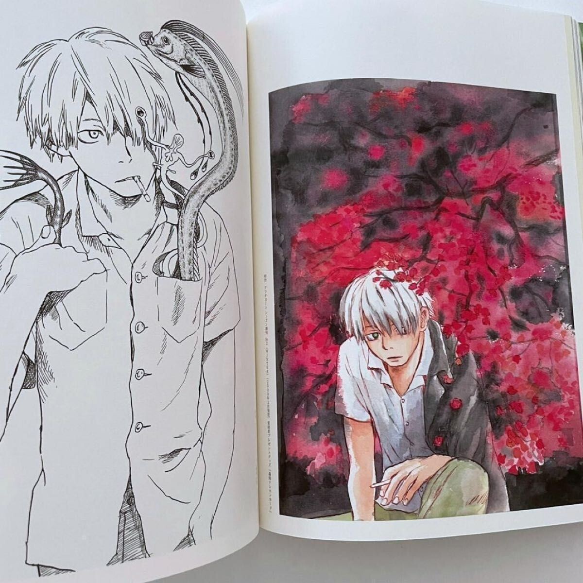 YUKI♡ART BOOK Mushishi Art Book Yuki Urushibara design illustration Used