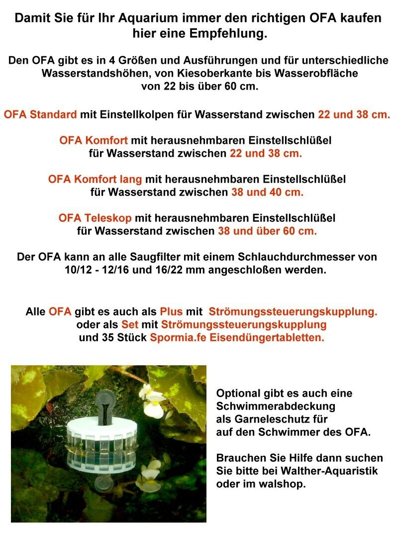 Bild 4 von 6