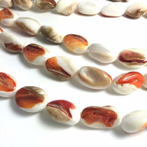 15.5"- Natural Naranja Rojo Espinoso Oyster Shell M Freeform Tumble Bead HQ, NUEVO HÁGALO USTED MISMO - Imagen 2 de 12