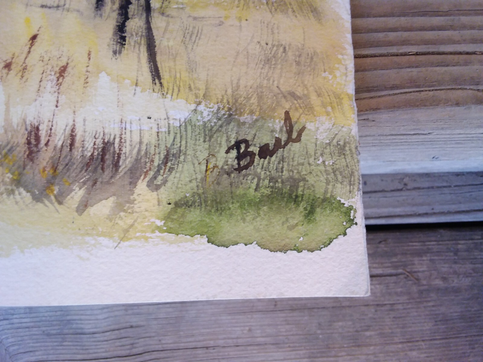 Bild 5 von 5