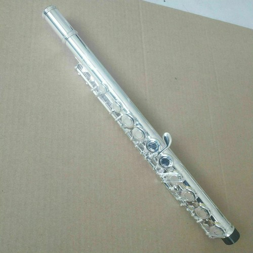 Excellent Flute with Case 16 Closed Holes C Tone E Key Concert - Picture 2 of 4