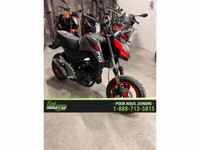 2022 CFMOTO ST Papio
