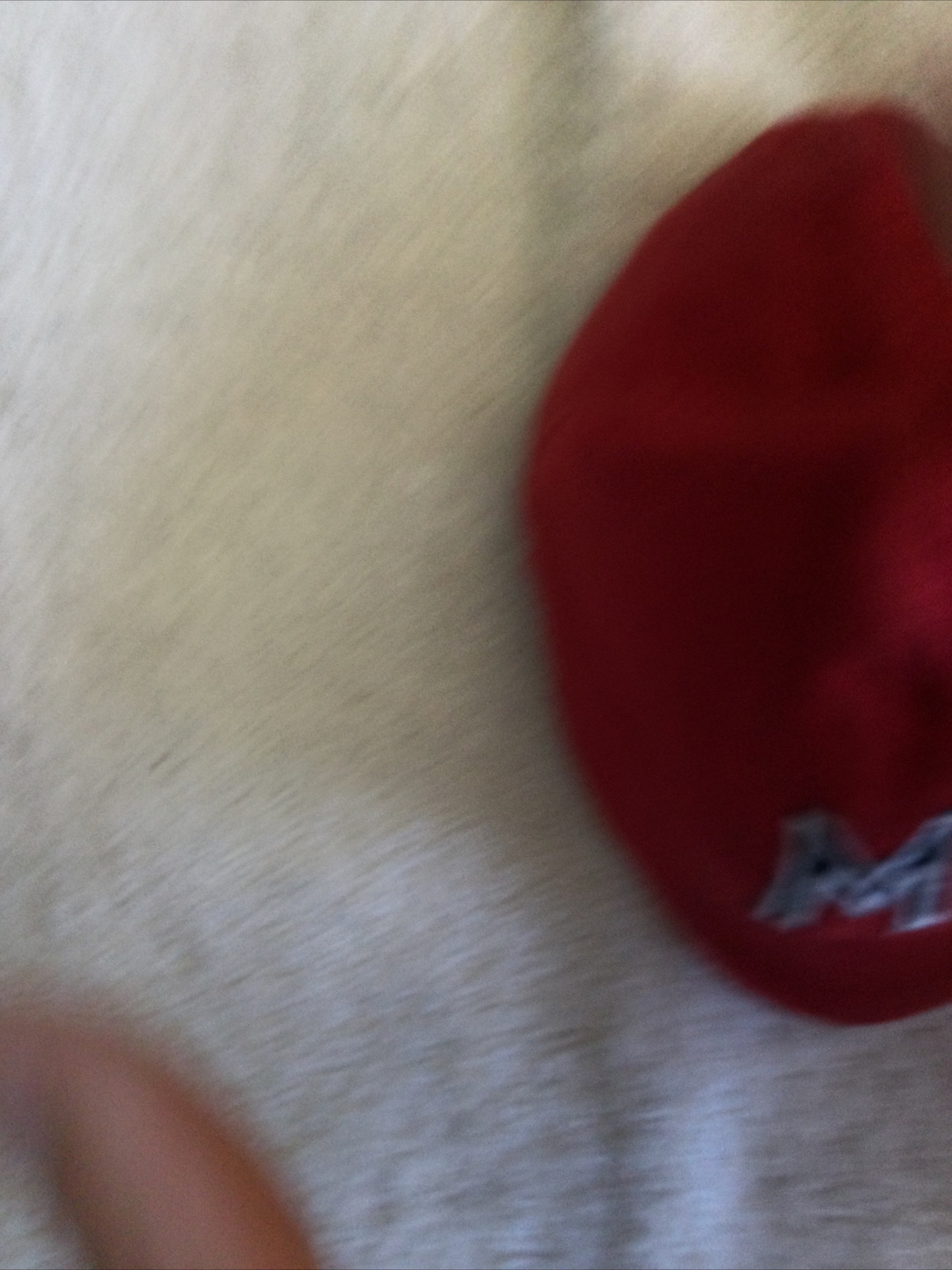 Picture 10 of 12