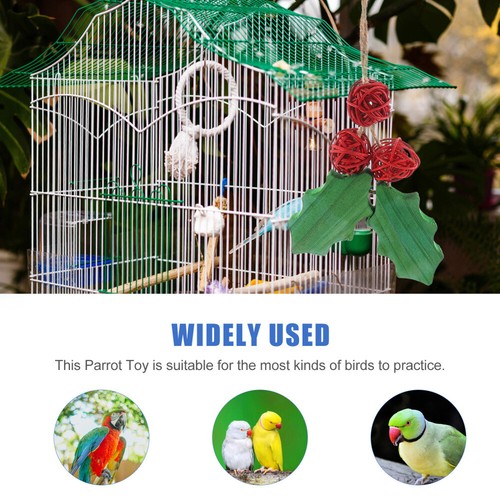 3 Pcs Christmas Bird Toy Wooden Parrot Jouet À Mâcher Perroquet Cage Perruche soldes