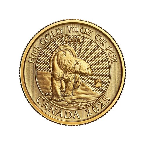 2025 Canada $5 Majestic Polar Bear 1/10 oz .9999 Gold Coin - NGC MS 70 - Picture 2 of 4