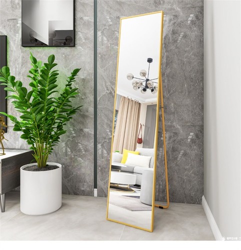 Bedroom Alloy Frame Full Length Mirror Golden - Picture 6 of 7