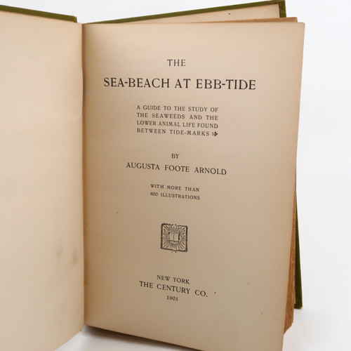 The Sea-Beach At Ebb-Tide by Augusta Foote Arnold (Century Co, 1901) Hardcover - Picture 5 of 7