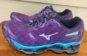 mizuno wave prophecy 2