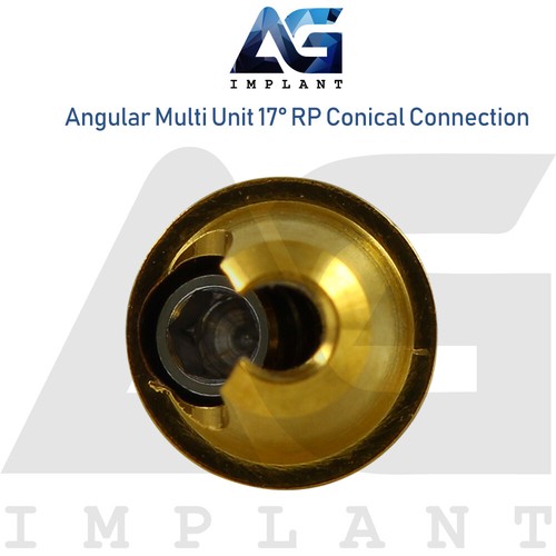 Angular Multi Unit Prosthetic System 17° Conical Connection RP Kit - Picture 4 of 11