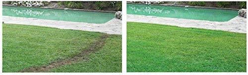 Hydro Mousse - Liquid Lawn Refill Pack, 2lb Bag (Covers 400sq. ft.) - Picture 4 of 5