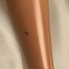 Picture 5 of 9