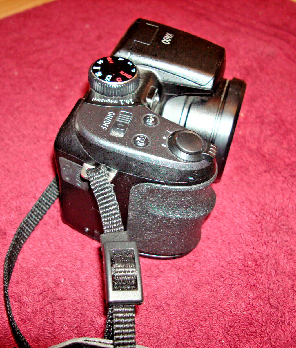 Picture 4 of 12