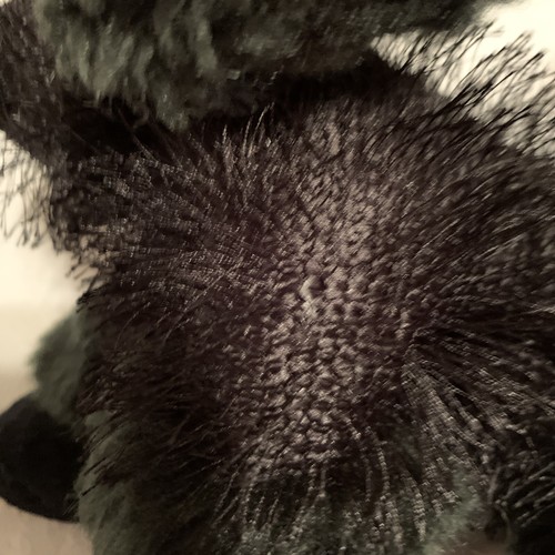 Ganz Webkinz Lot 5 Plush Pets & Lil' Kinz Cheeky Dog No Codes Preowned - Picture 7 of 12