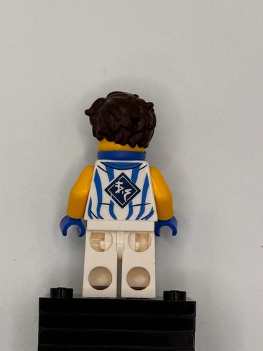 Minifiguras LEGO Ninjago (elige tu minifigura) - Imagen 220 de 354