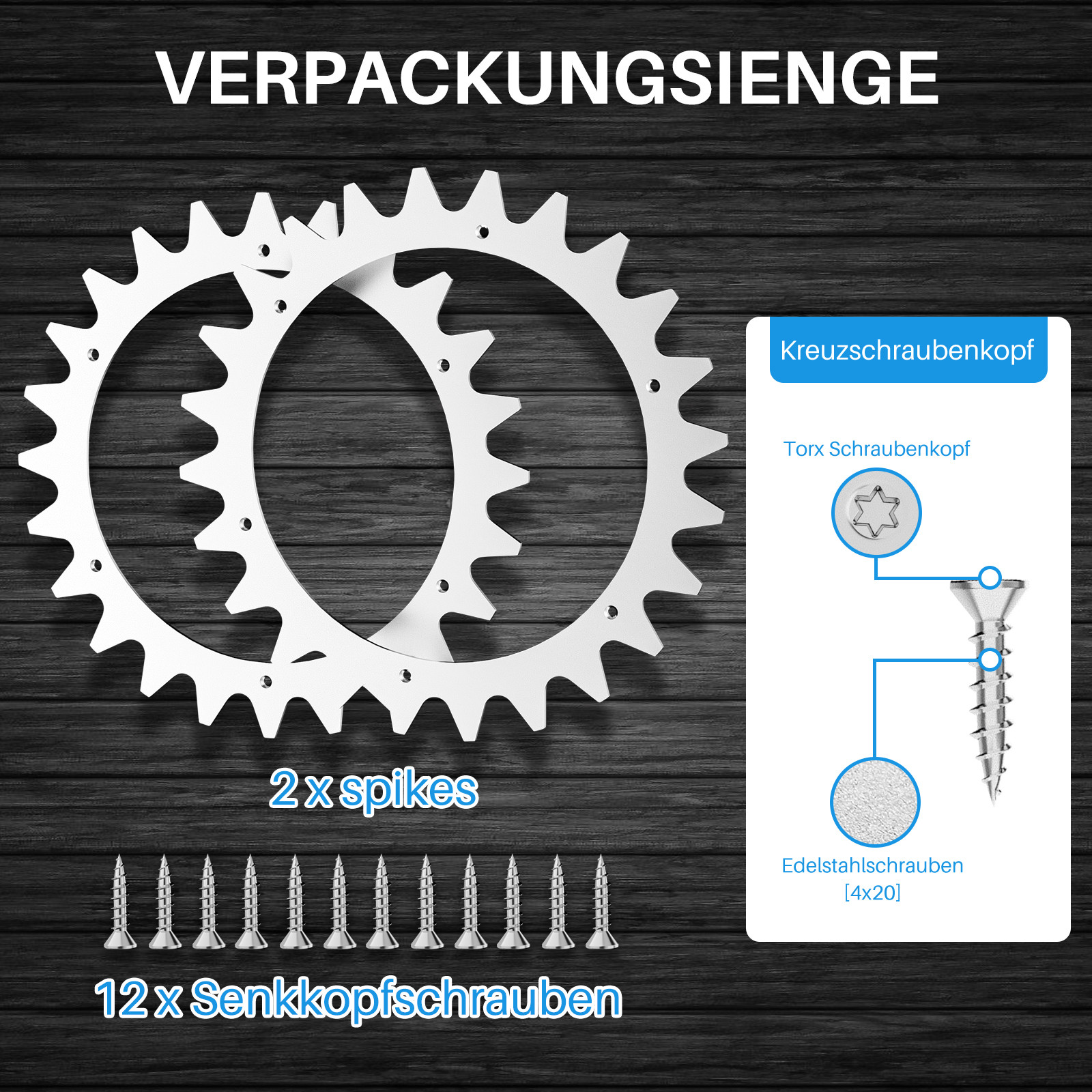 Bild 8 von 10
